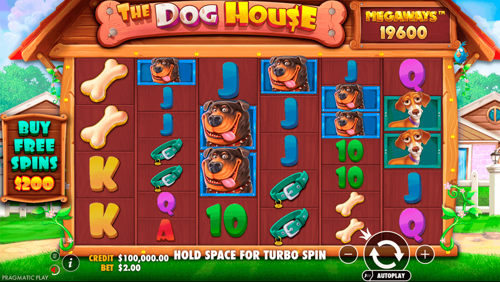 The Dog House Megaways Key Details The Dog House Megaways Key Details