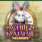 White Rabbit Megaways